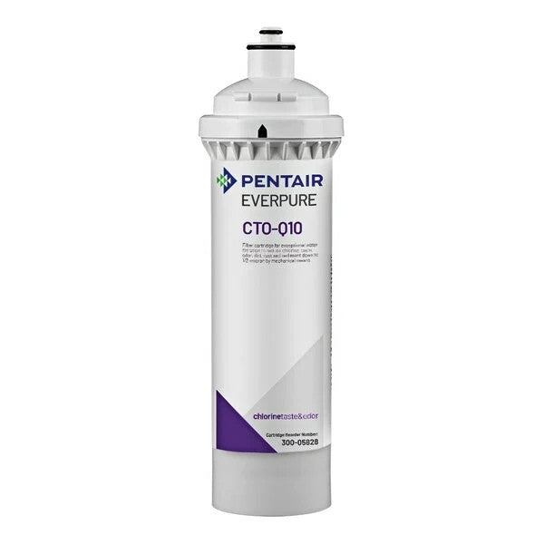 Cartouche Filtre à Eau Pentair 300-05828 - Charbon Actif Bloc, 1/2 NPT, 10 Pouces, Neuve