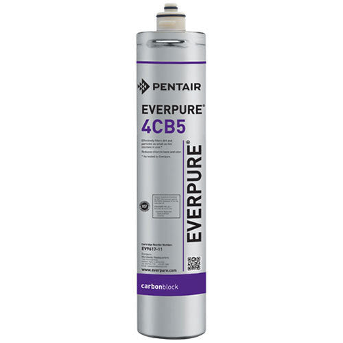 EV9617-11 $84 Everpure 4CB5 Water Filter Cart # EV961716