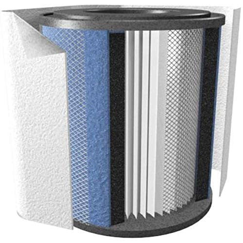 $234 w/ COUPONS FR200B Austin Air WHITE Healthmate Jr. HEPA Air Filter