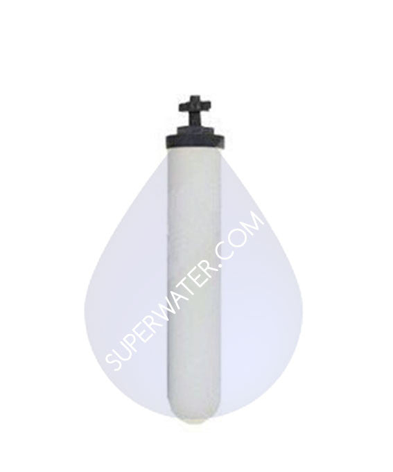 W9512624 AquaCera CeraMetix GF 7" Ceramic Filter