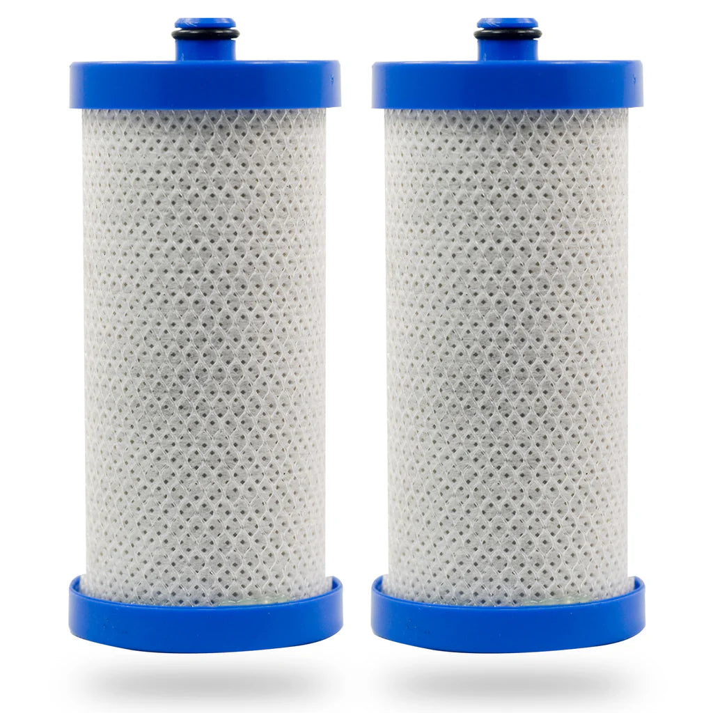 Swift Green Filters SGF-WF1CB Rx Compatible Refrigerator Water Filter for WFCB, WF1CB, 240394501, NGRG-2000, RF-100, RG-100, 218710901, 218710902, Made in USA