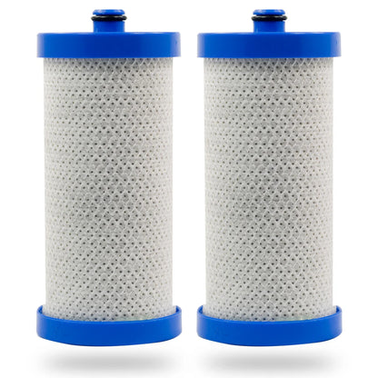 Swift Green Filters SGF-WF1CB Rx Compatible Refrigerator Water Filter for WFCB, WF1CB, 240394501, NGRG-2000, RF-100, RG-100, 218710901, 218710902, Made in USA