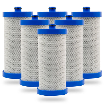 Swift Green Filters SGF-WF1CB Rx Compatible Refrigerator Water Filter for WFCB, WF1CB, 240394501, NGRG-2000, RF-100, RG-100, 218710901, 218710902, Made in USA