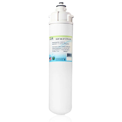 Swift Green Filters SGF-96-37 CTO-ION Compatible Commercial Water Filter for EV9607-25, Made in USA