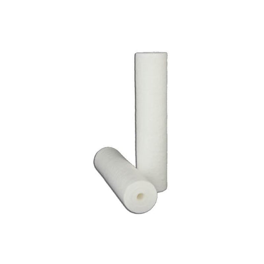 252-10405 Pentair OptiPure S1-20B Large Sediment Filter