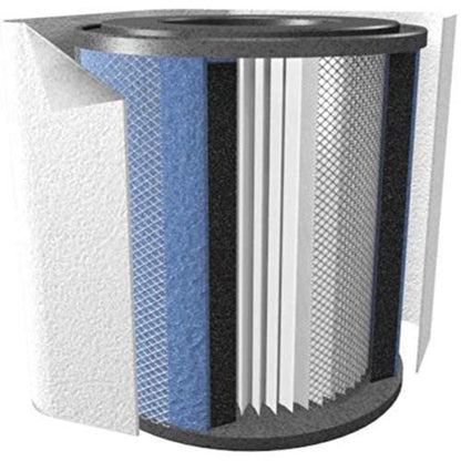 FR250B Austin Air Jr. Medical Grade WHITE HEPA Filter HM250WH