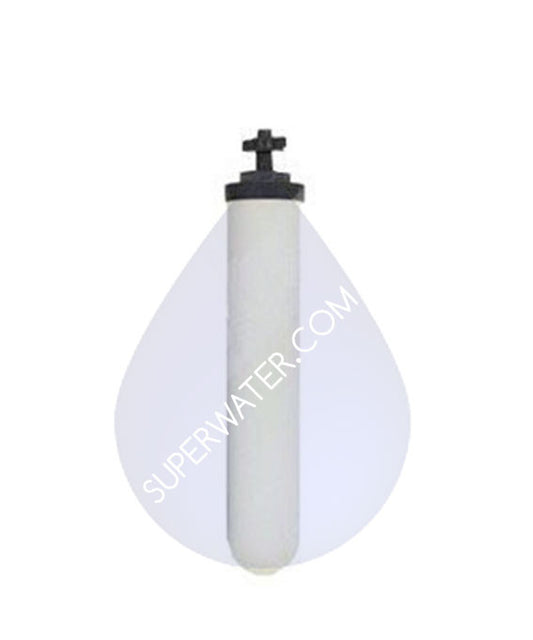 W9512626 AquaCera CeraMetix GF 5" Ceramic Filter